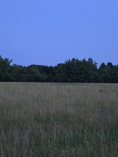 Cornelia Fort Airpark at Shelby Bottoms - Nashville, TN