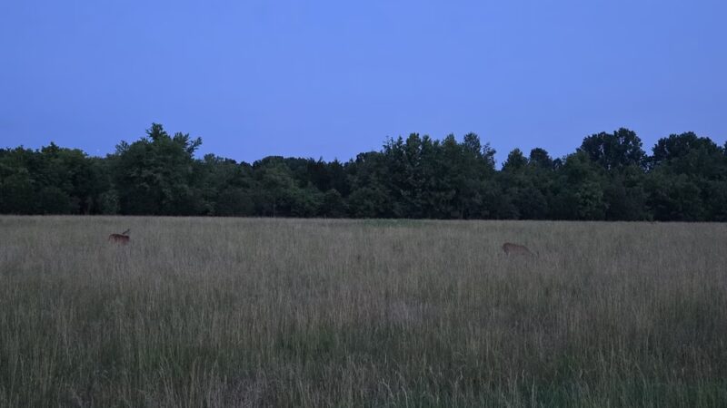 Cornelia Fort Airpark at Shelby Bottoms - Nashville, TN