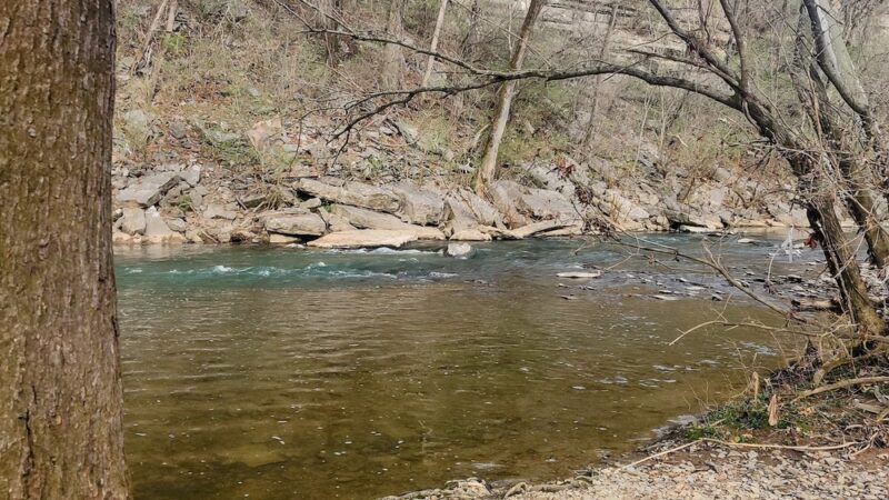 Ezell Road Park - Nashville, TN