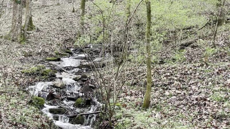 Percy Warner Hiking Trailhead - Nashville, TN