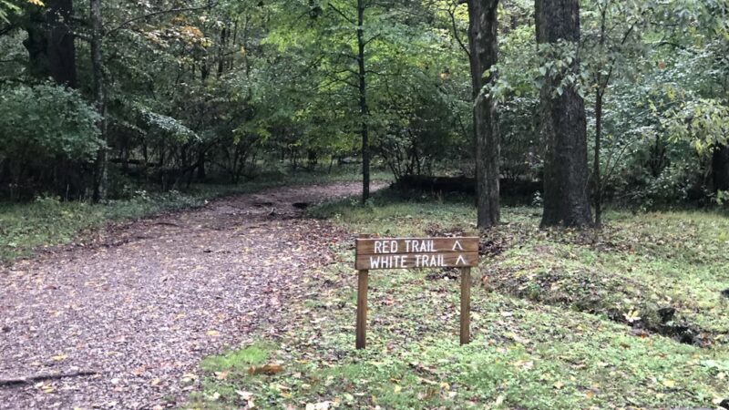 Percy Warner Hiking Trailhead - Nashville, TN