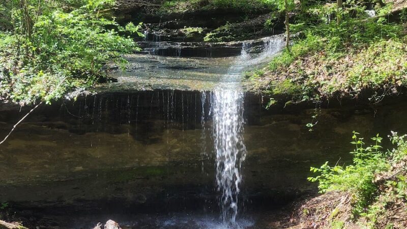 Percy Warner Hiking Trailhead - Nashville, TN