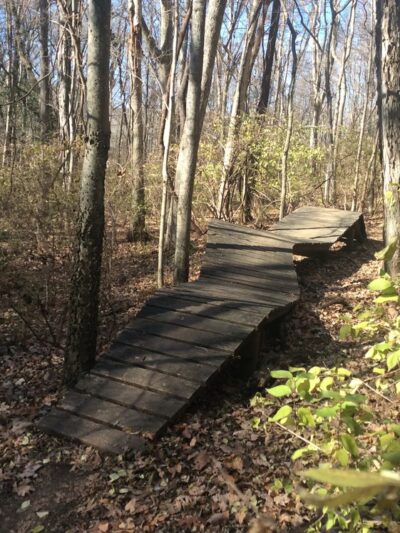 Percy Warner Mountain Bike Trail - Nashville, TN