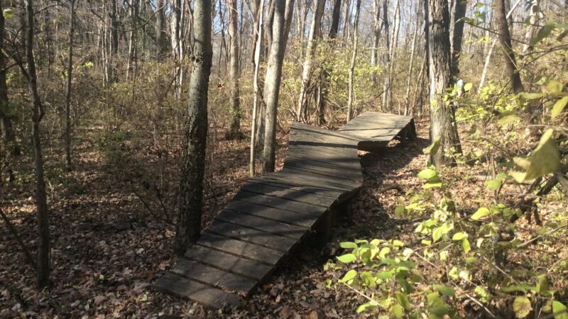 Percy Warner Mountain Bike Trail - Nashville, TN