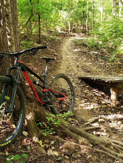 Percy Warner Mountain Bike Trail - Nashville, TN