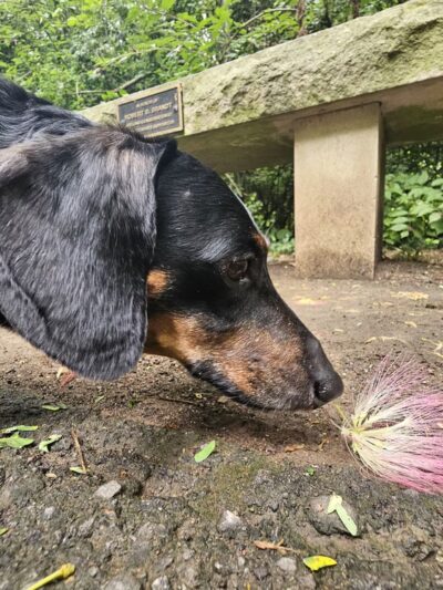 Richland Creek Greenway Trailhead - Nashville, TN