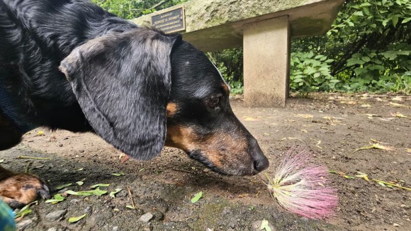 Richland Creek Greenway Trailhead - Nashville, TN