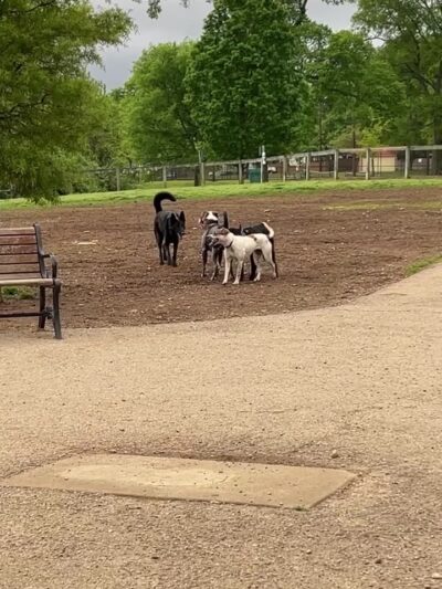 Shelby Walk Park - Nashville, TN