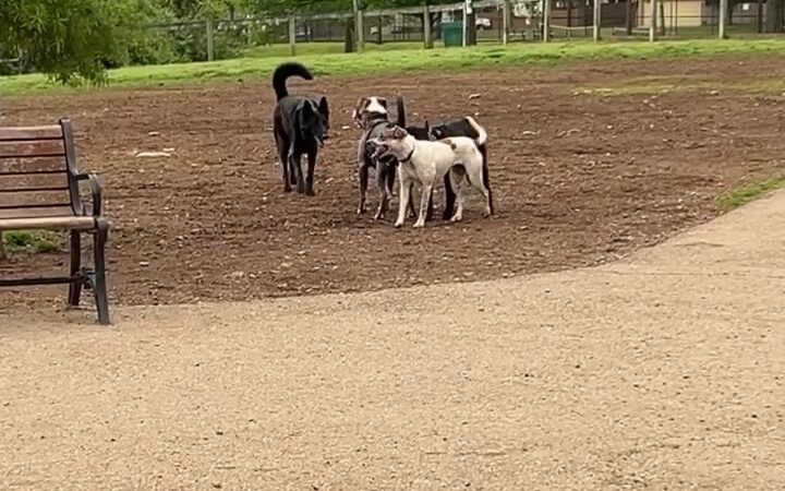 Shelby Walk Park - Nashville, TN