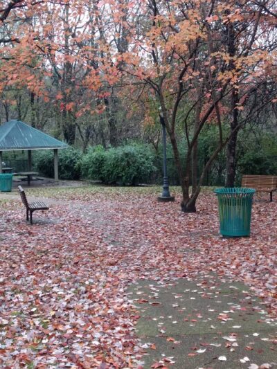 Shelby Walk Park - Nashville, TN