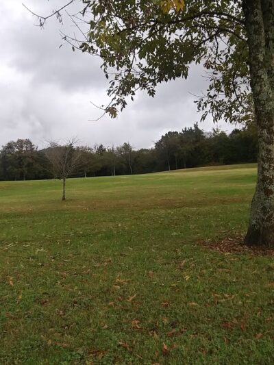 Timothy Park - Nashville, TN