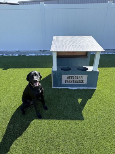 Urban Dog Bar - Nashville, TN