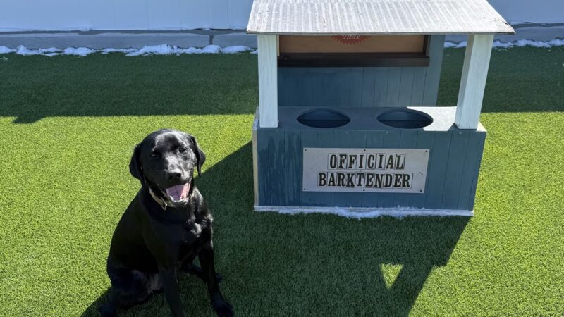 Urban Dog Bar - Nashville, TN