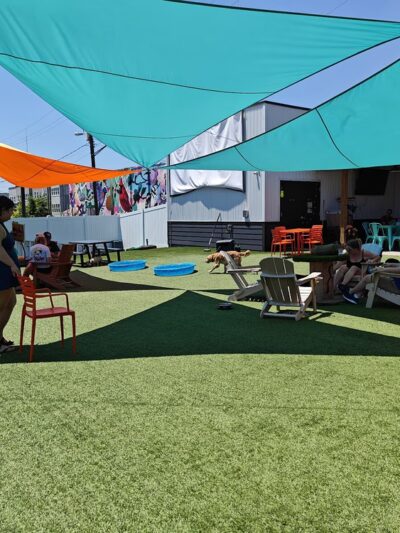 Urban Dog Bar - Nashville, TN