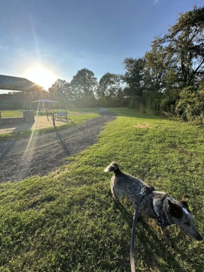 Whites Creek Greenway Trailhead - Nashville, TN