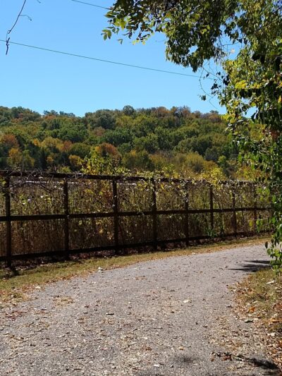 Whites Creek Greenway Trailhead - Nashville, TN
