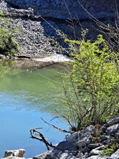 Whites Creek Greenway Trailhead - Nashville, TN