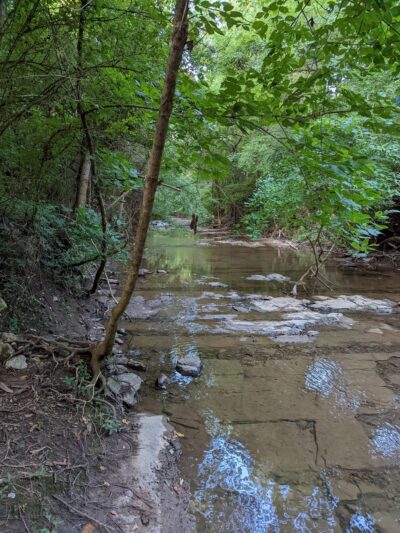 Whitfield Park - Nashville, TN