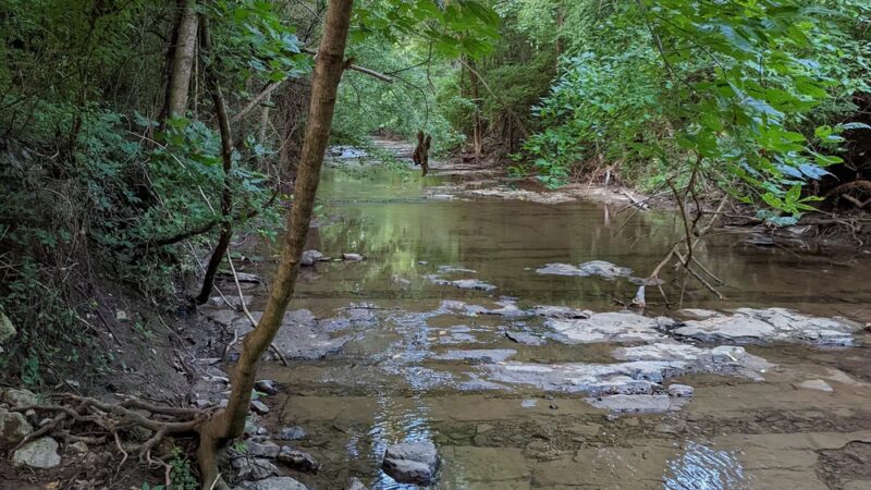 Whitfield Park - Nashville, TN