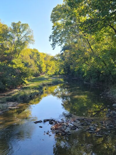 Whitsett Park - Nashville, TN