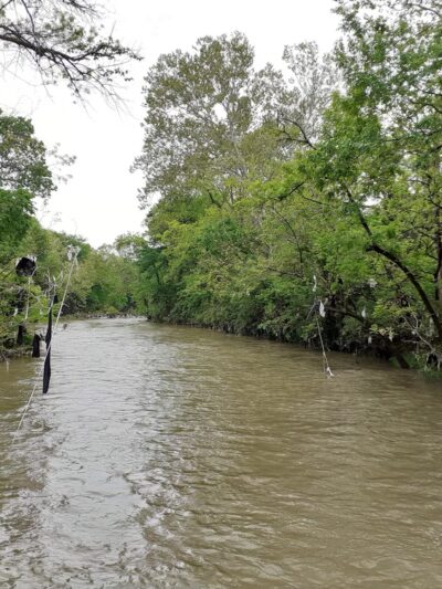 Whitsett Park - Nashville, TN