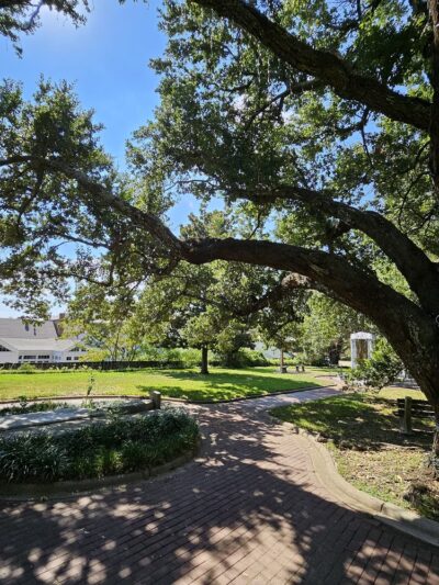 Natchez Memorial Park - Natchez, MS