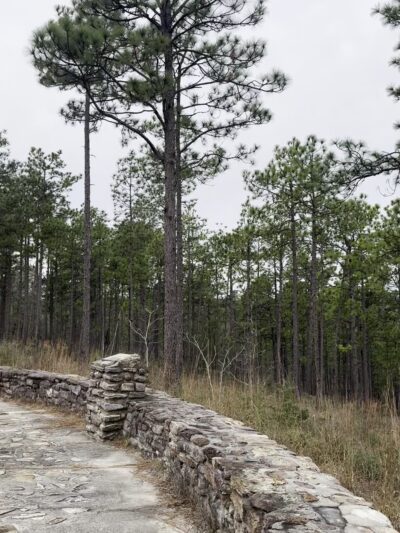 Longleaf Vista Nature Trail - Natchitoches, LA