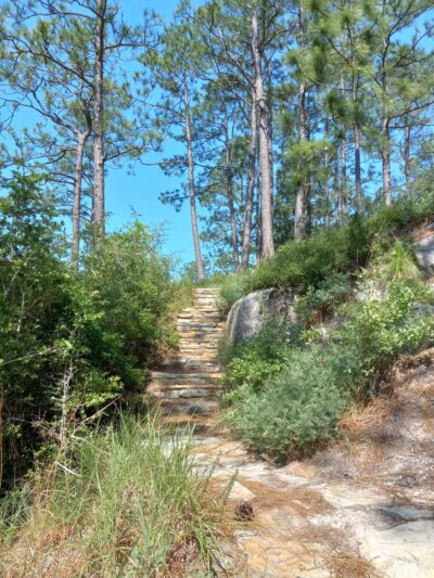 Longleaf Vista Nature Trail - Natchitoches, LA
