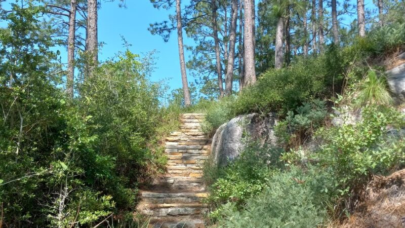 Longleaf Vista Nature Trail - Natchitoches, LA