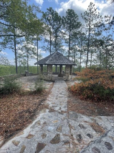 Longleaf Vista Nature Trail - Natchitoches, LA