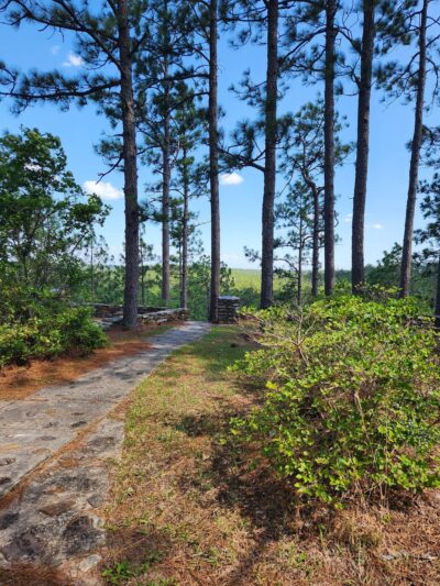 Longleaf Vista Nature Trail - Natchitoches, LA