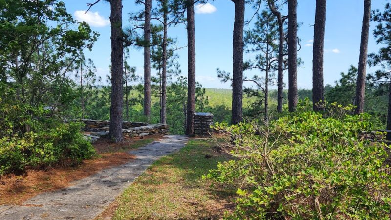 Longleaf Vista Nature Trail - Natchitoches, LA