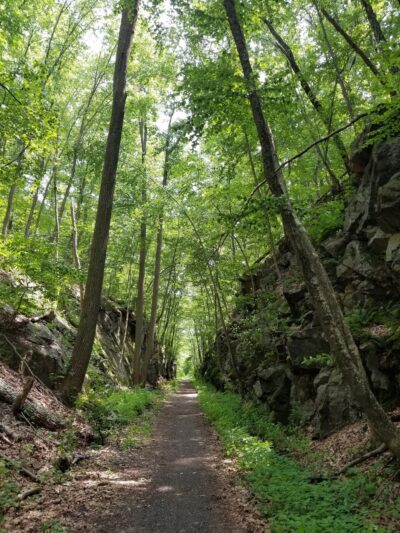 Larkin State Bridle Trail - Naugatuck, CT