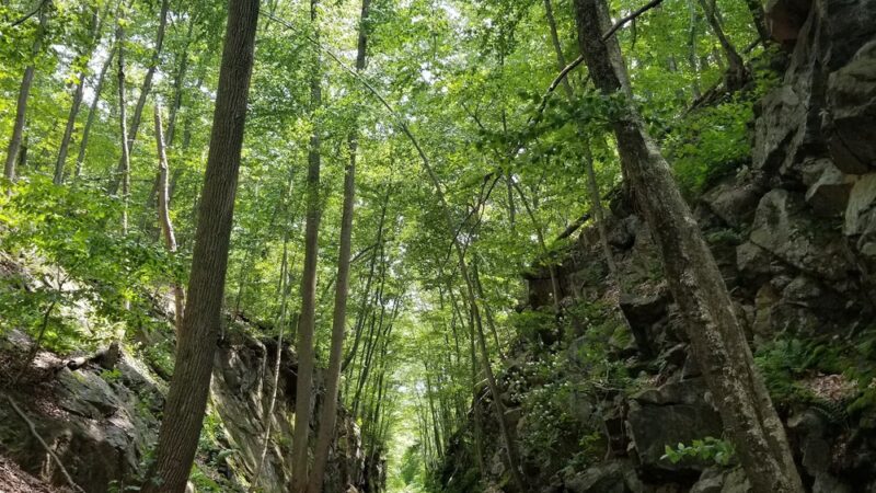 Larkin State Bridle Trail - Naugatuck, CT