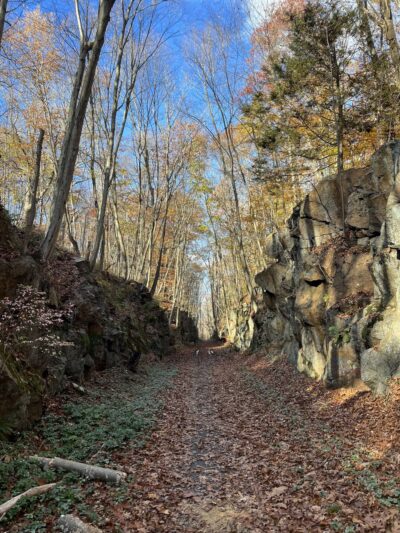 Larkin State Bridle Trail - Naugatuck, CT