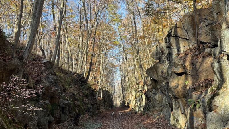 Larkin State Bridle Trail - Naugatuck, CT