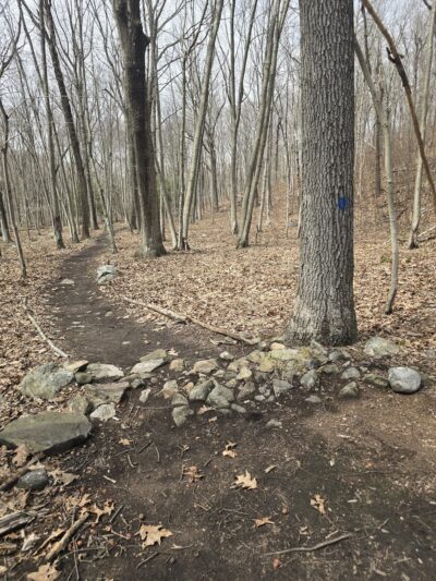 Larkin State Bridle Trail - Naugatuck, CT