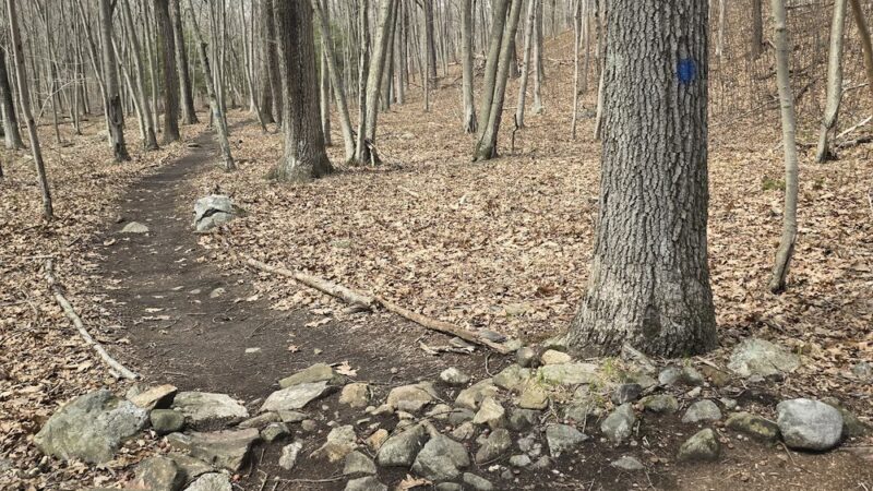 Larkin State Bridle Trail - Naugatuck, CT
