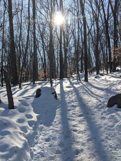 Larkin State Bridle Trail - Naugatuck, CT
