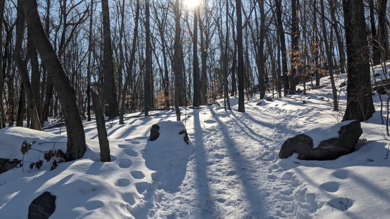 Larkin State Bridle Trail - Naugatuck, CT