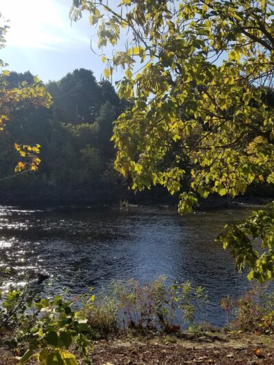 Linden Park - Naugatuck, CT