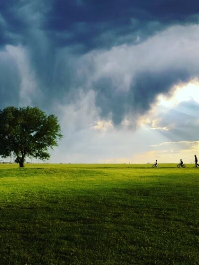 August Horst Municipal Park - Navasota, TX