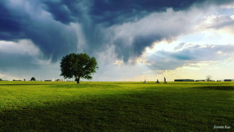August Horst Municipal Park - Navasota, TX