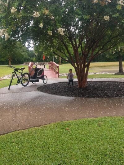 Hillside Park - Navasota, TX