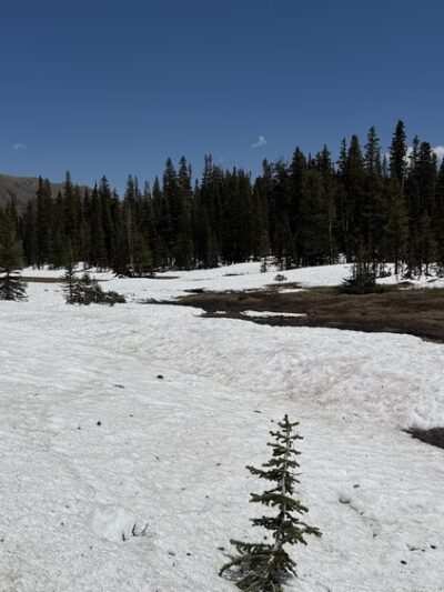 Diamond Lake Trail - Nederland, CO