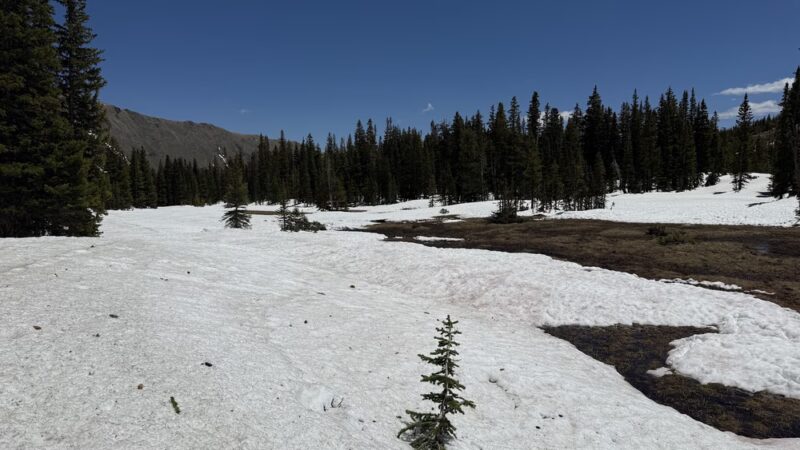 Diamond Lake Trail - Nederland, CO