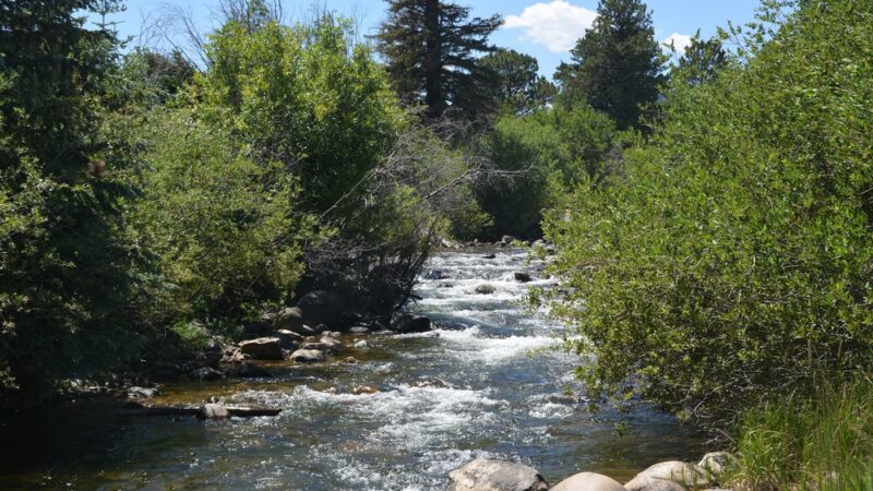 Chipeta Park - Nederland, CO
