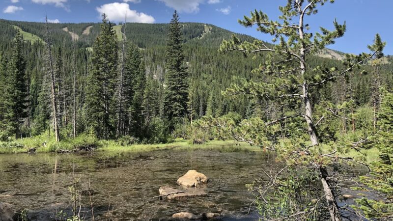 Devil's Thumb Trailhead - Nederland, CO