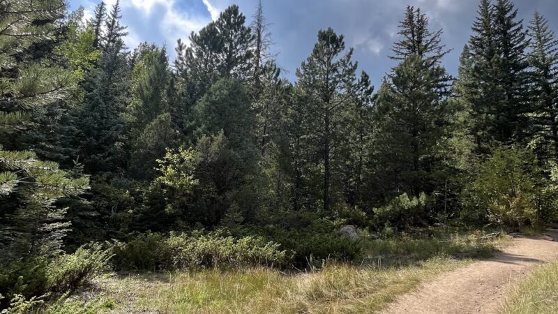 Forsythe Canyon Trailhead - Nederland, CO