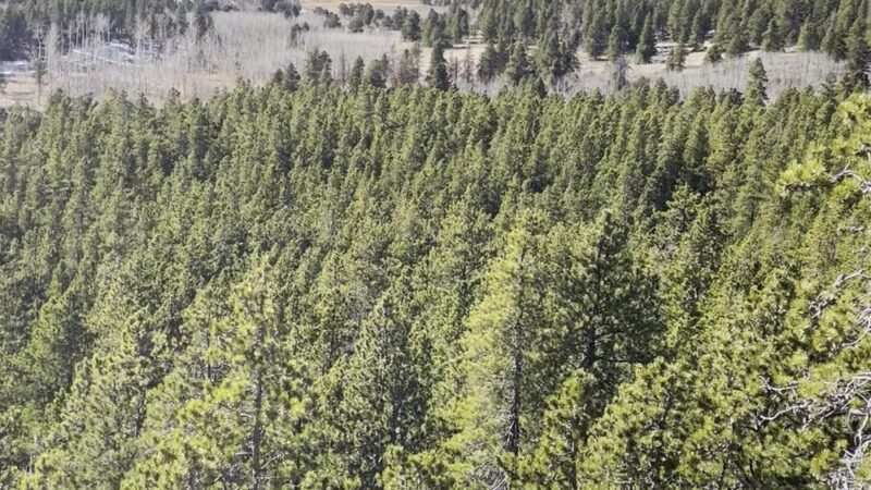 Front Range Trailhead - Nederland, CO